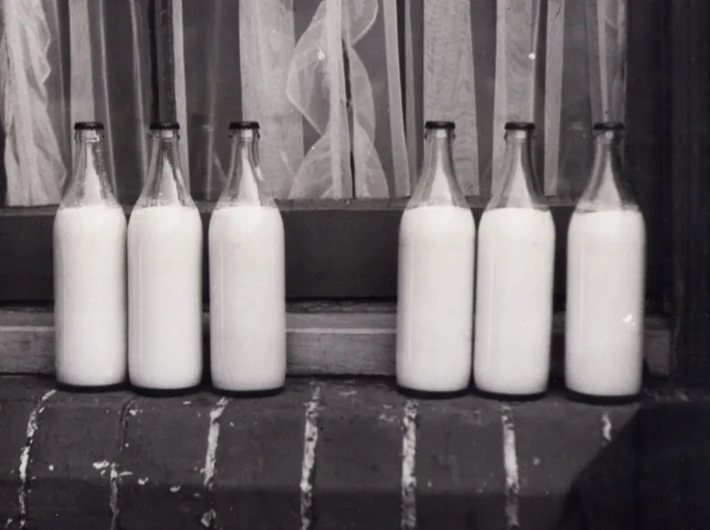 The Glass of Milk That Could Kill You: America's Forgotten War Over Pasteurization